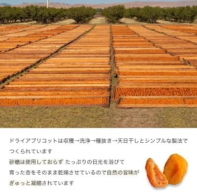 ドライアプリコット 1k - サムネイル5