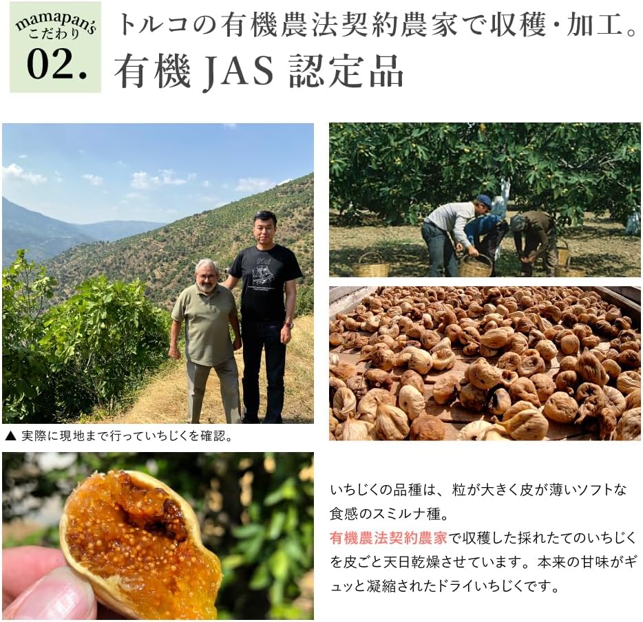 【ママパン】有機ドライいちじく（白フィグ） 1k - サムネイル7