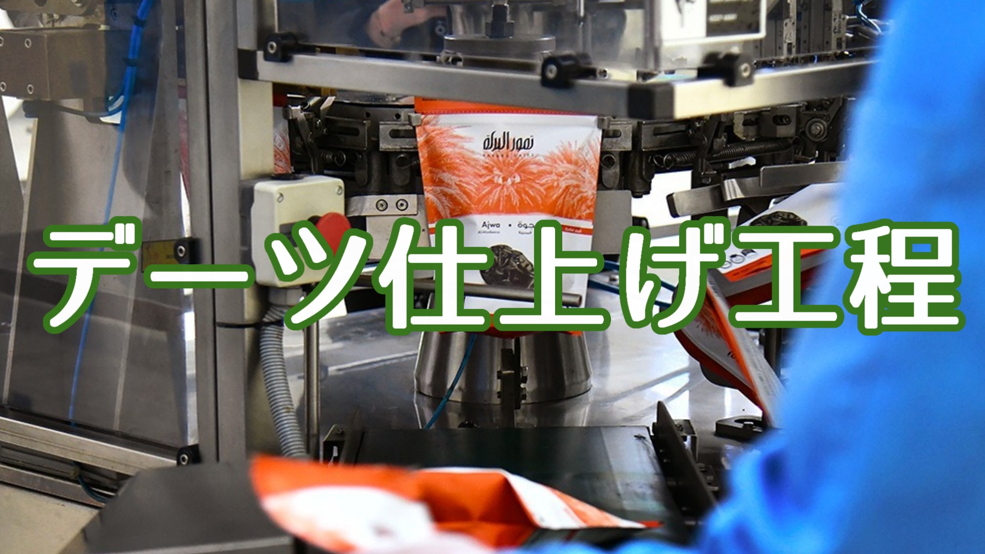 選べる５種類■有機 デーツ(なつめやし) 200g - サムネイル3