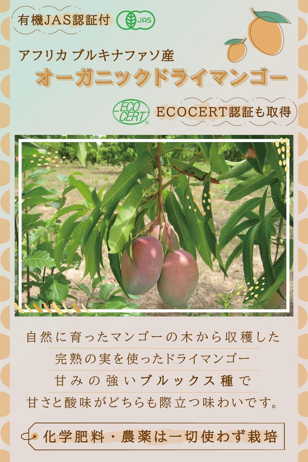 オーガニックドライマンゴー200g - サムネイル2