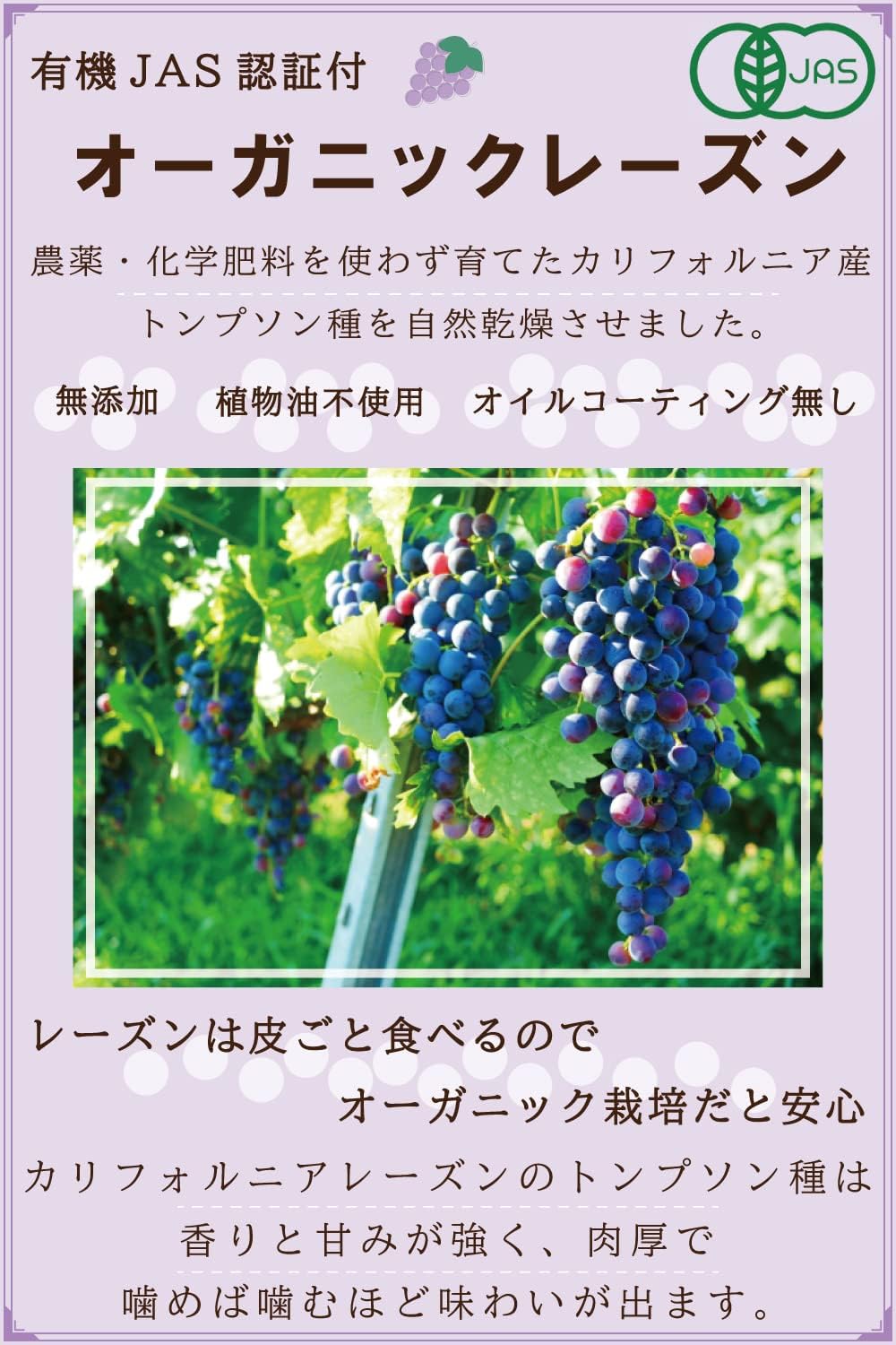 MYSiG オーガニックレーズン500g - サムネイル2