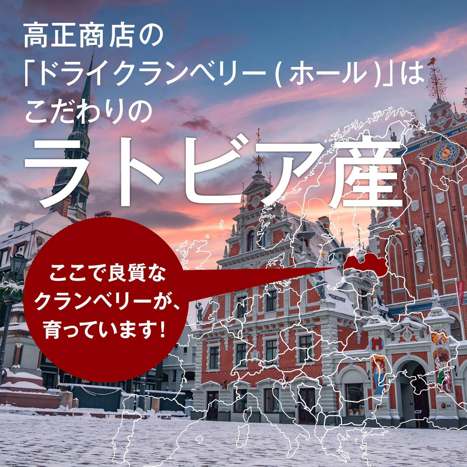 ラトビア産ドライクランベリー(ホール) チャック付き 500g - サムネイル3
