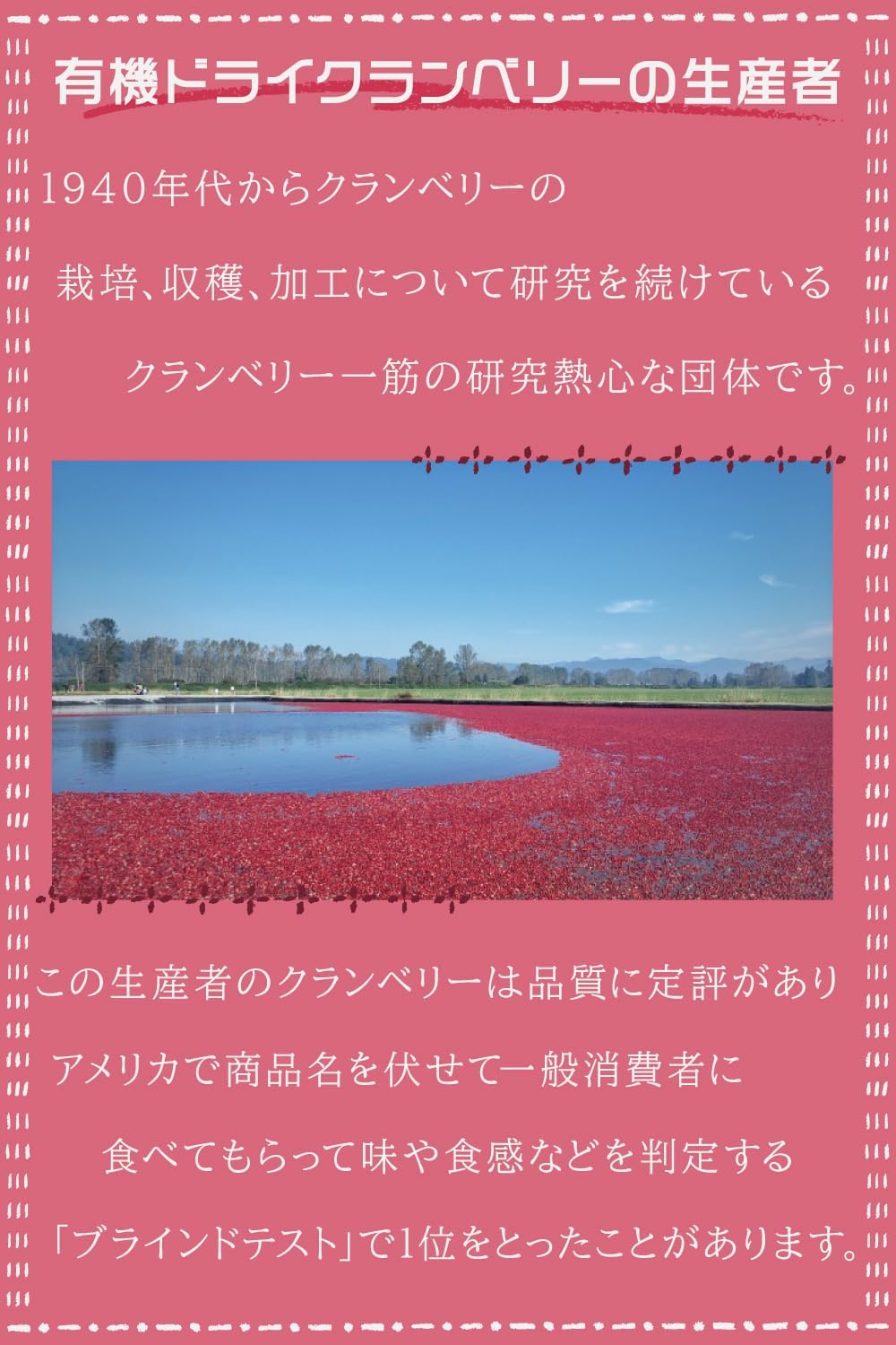 MYSiG オーガニックドライクランベリー100g - サムネイル3