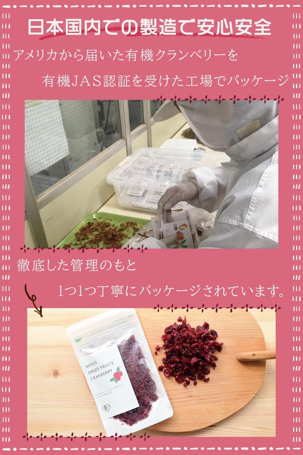 MYSiG オーガニックドライクランベリー100g - サムネイル4