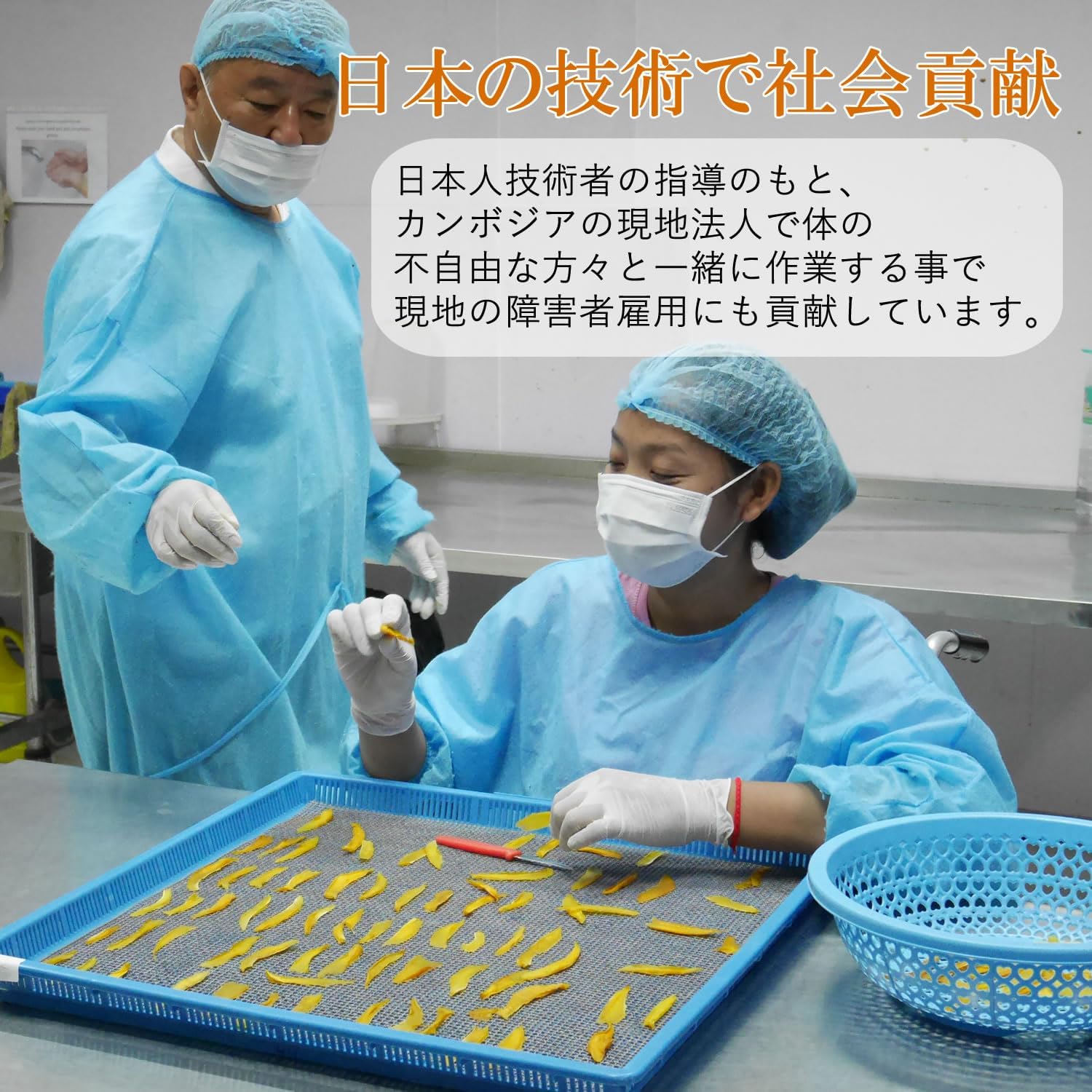 大地の生菓 無添加 ドライフルーツ パイナップル 30g - サムネイル7