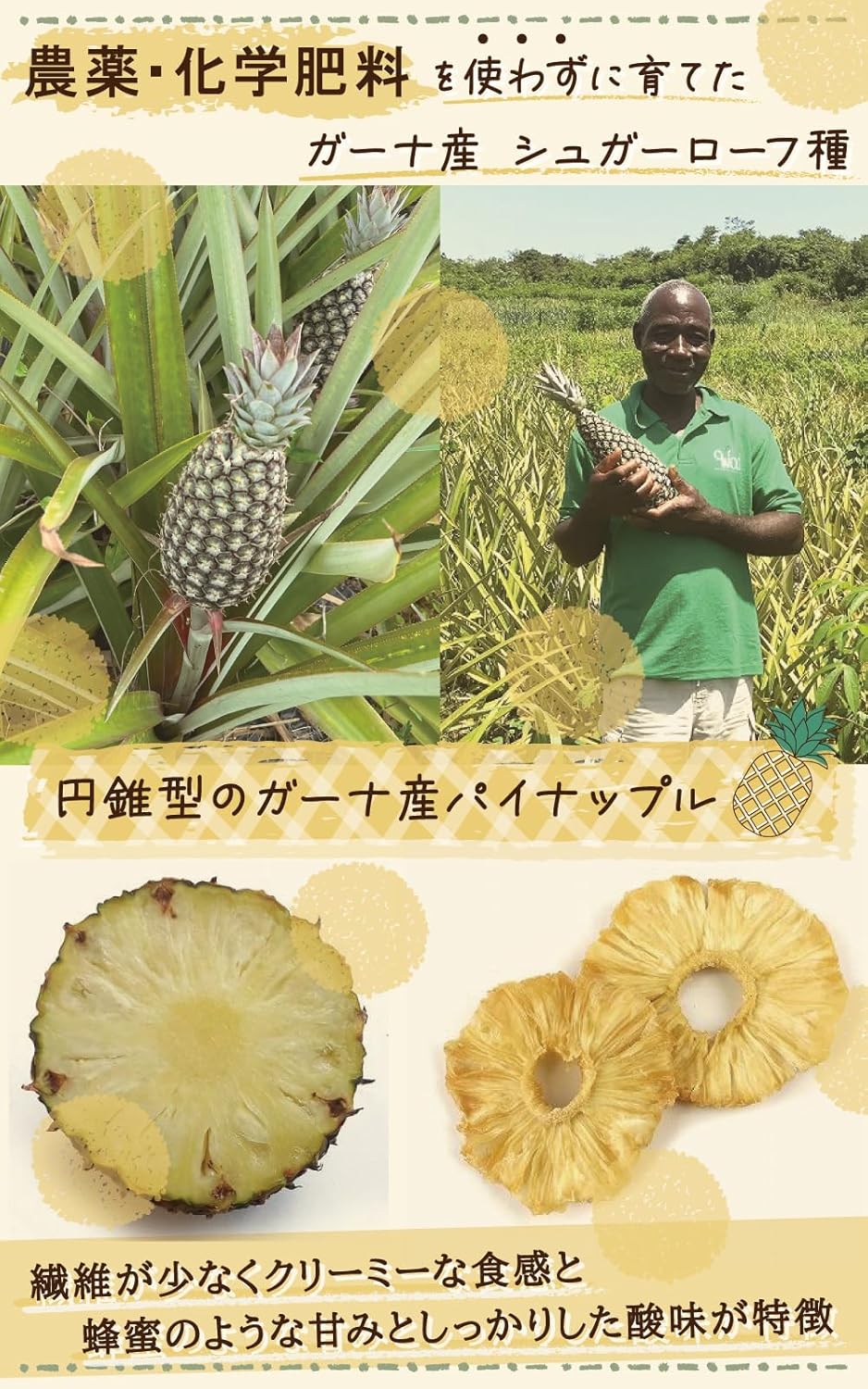 オーガニックドライパイナップル100g - サムネイル4