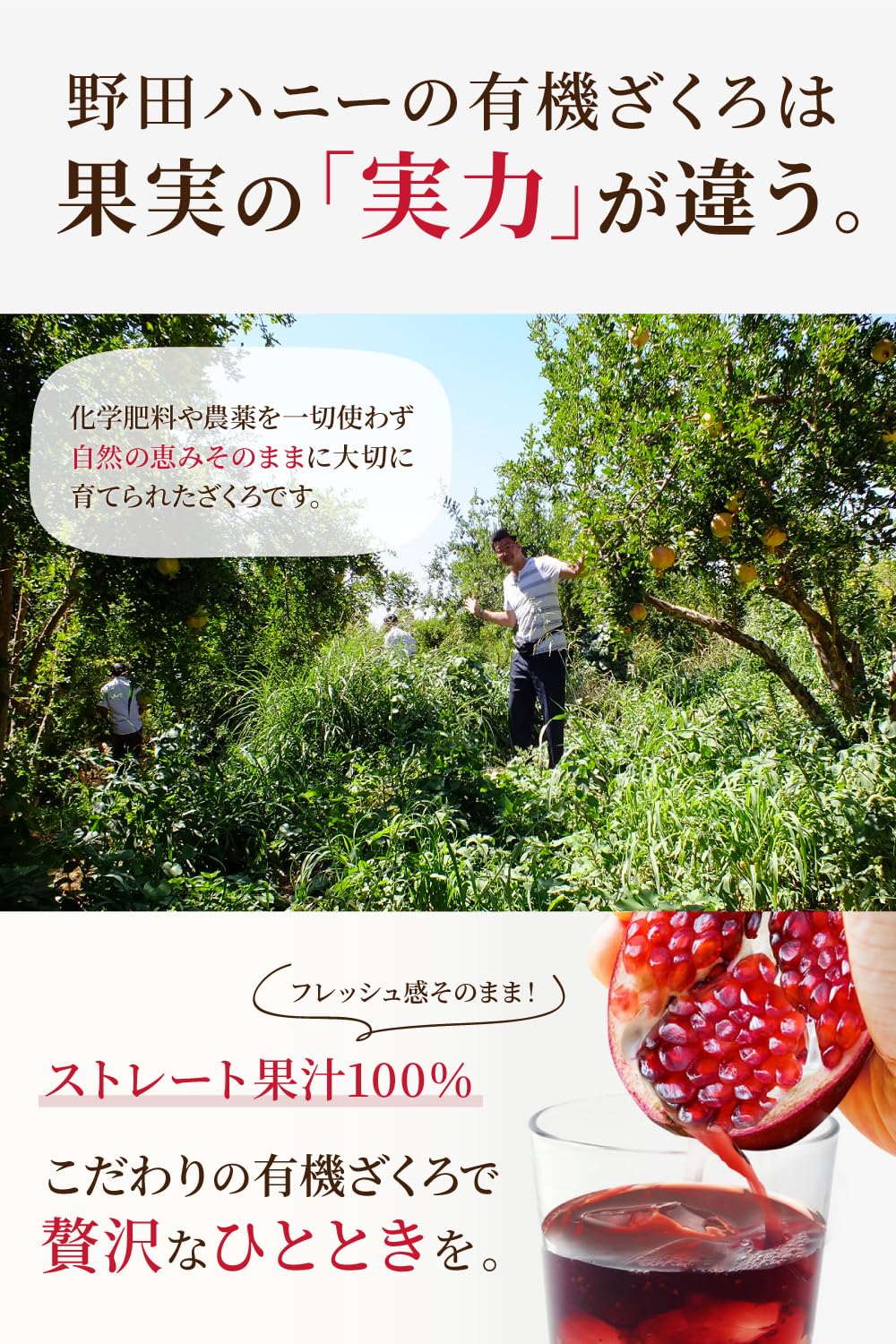 [2袋] オーガニック白イチジク 620ｇ×2袋 - サムネイル5