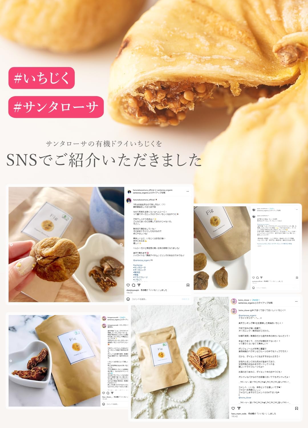 San'ta Rosa (サンタローサ) イチジク ドライフルーツ 100g - サムネイル5