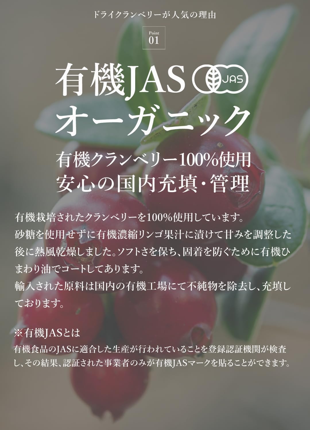 San'ta Rosa (サンタローサ) ドライクランベリー 500g - サムネイル2