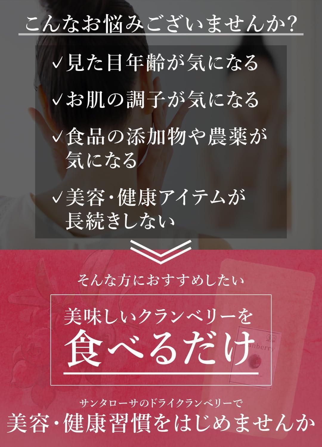 San'ta Rosa (サンタローサ) ドライクランベリー 500g - サムネイル4