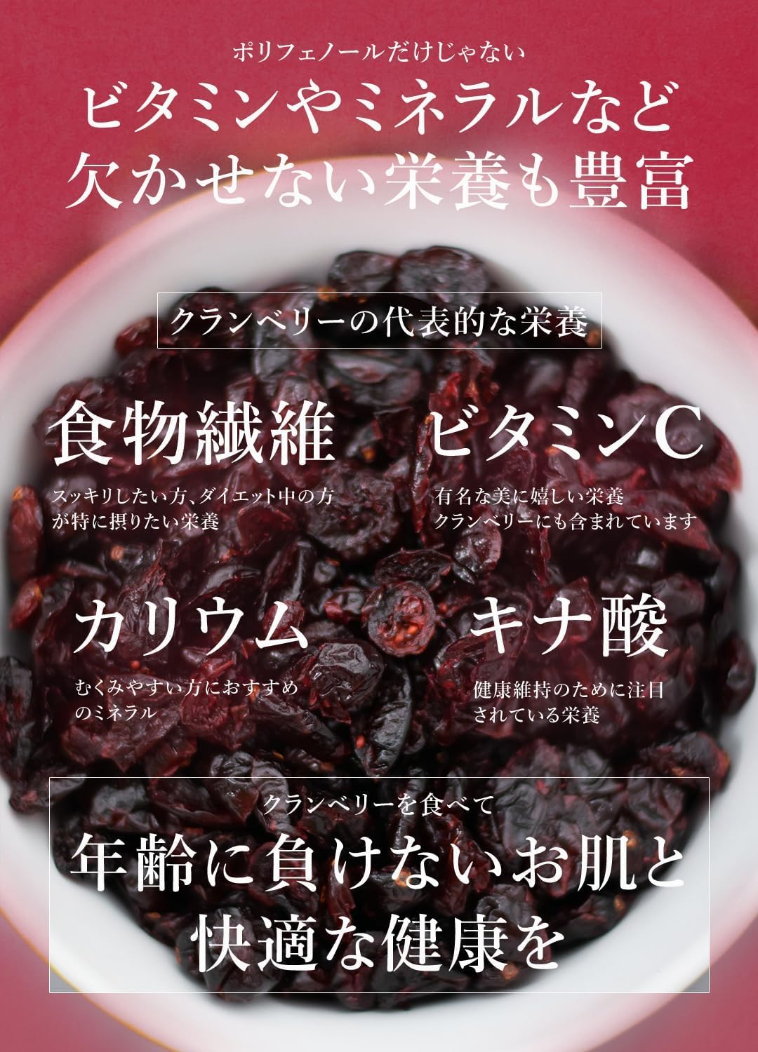 San'ta Rosa (サンタローサ) ドライクランベリー 500g - サムネイル6