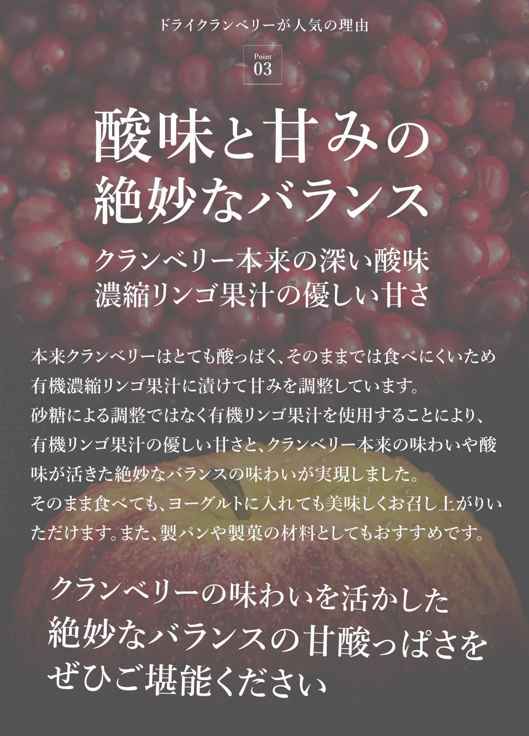 San'ta Rosa (サンタローサ) ドライクランベリー 500g - サムネイル8