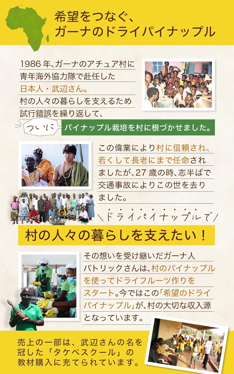 喜保屋 有機 ドライパイナップル 100g - サムネイル7
