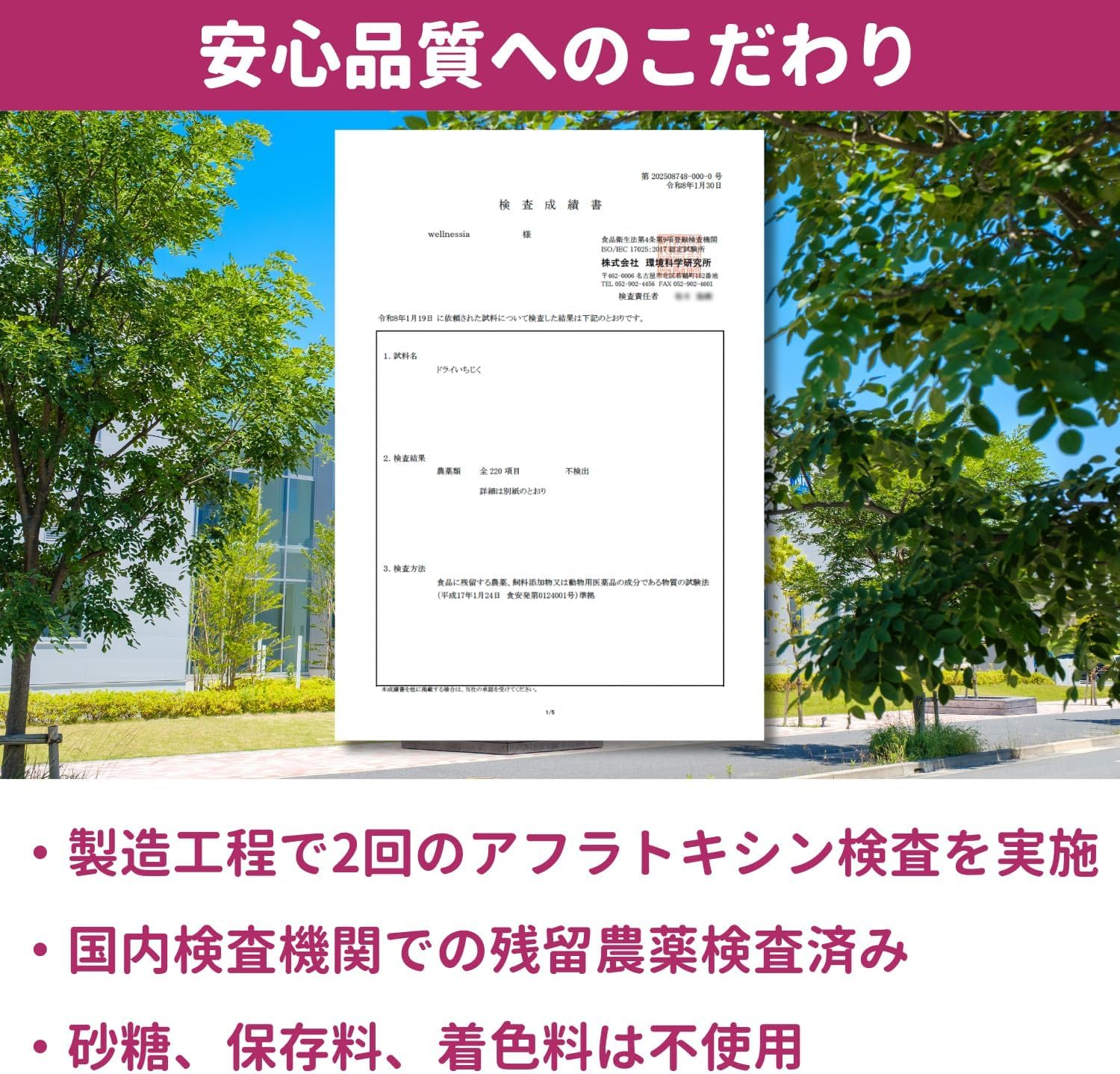 ヨーグルトのための ドライいちじく 無添加 砂糖不使用 300g - サムネイル2