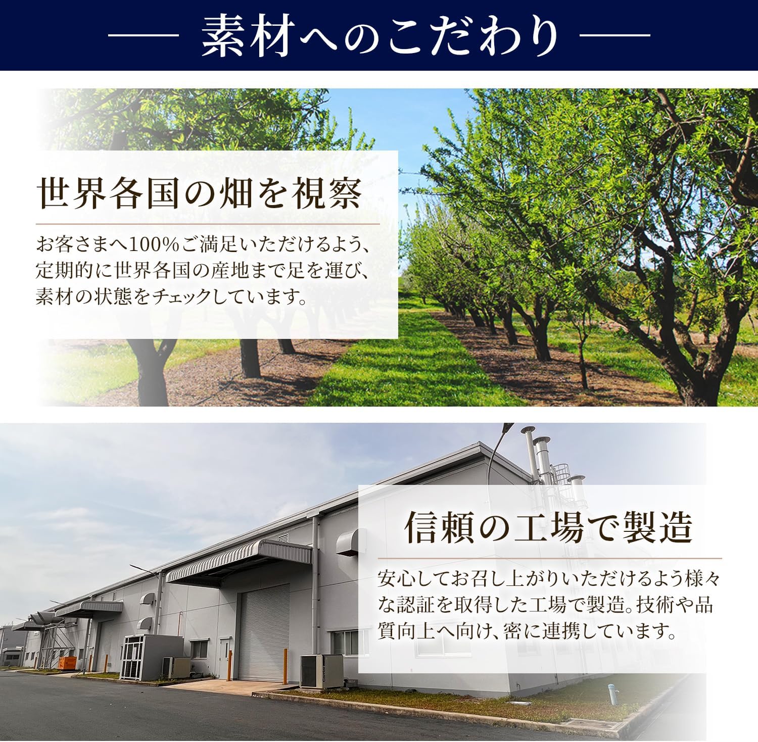 レーズン ノンオイル 内容量 : 500g - サムネイル9