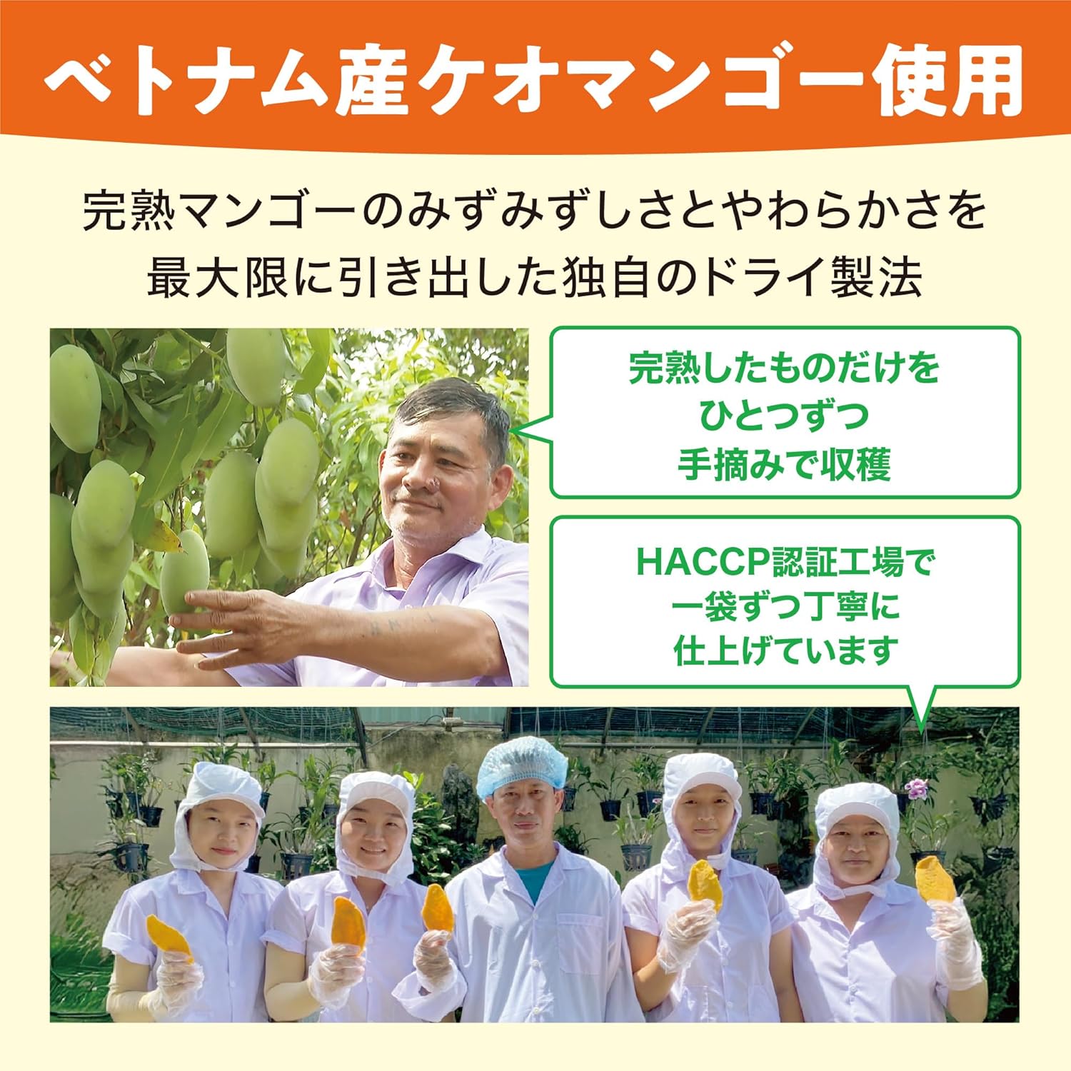 極め ドライマンゴー [ 50g - サムネイル3